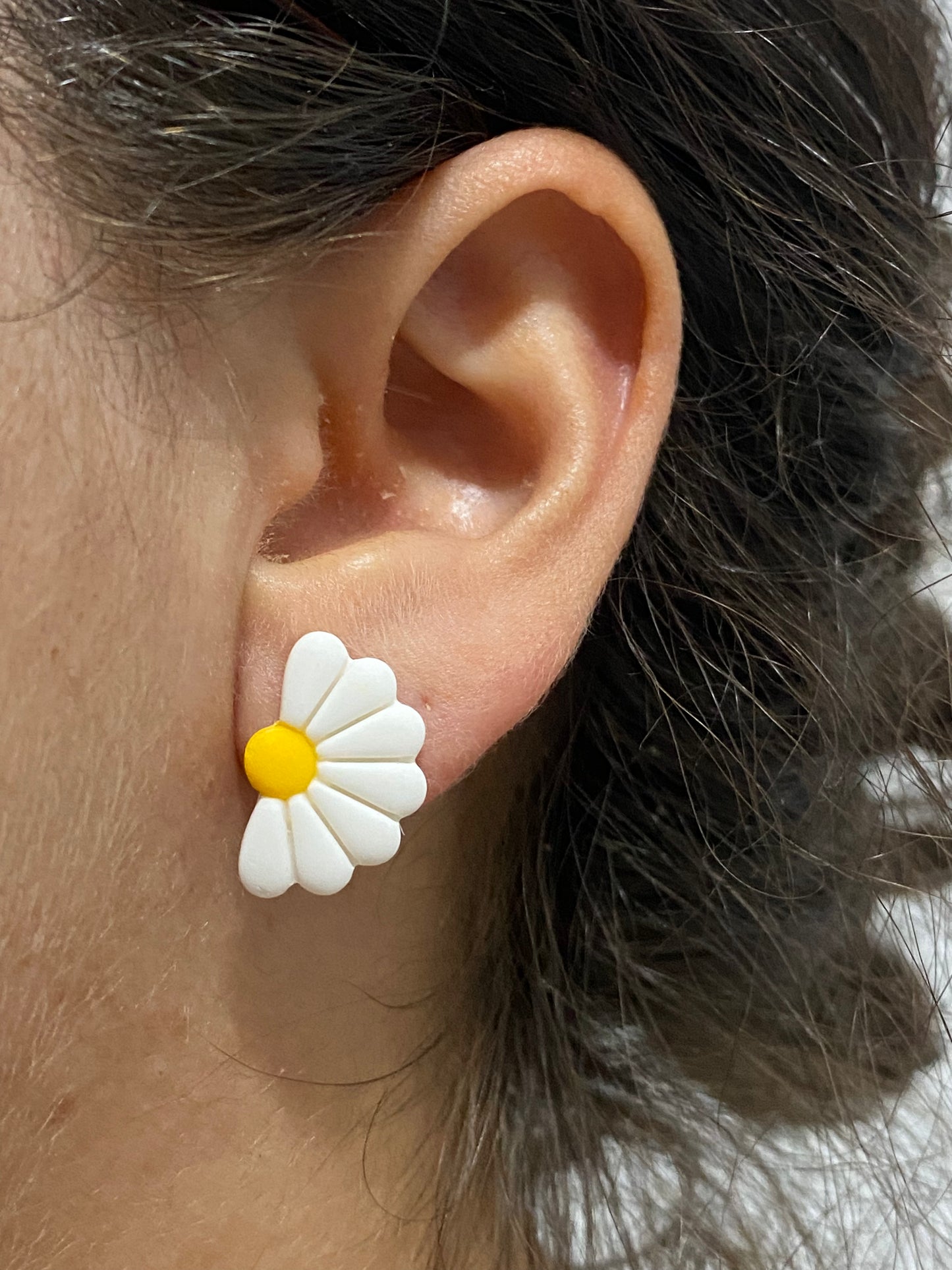 Media Daisy